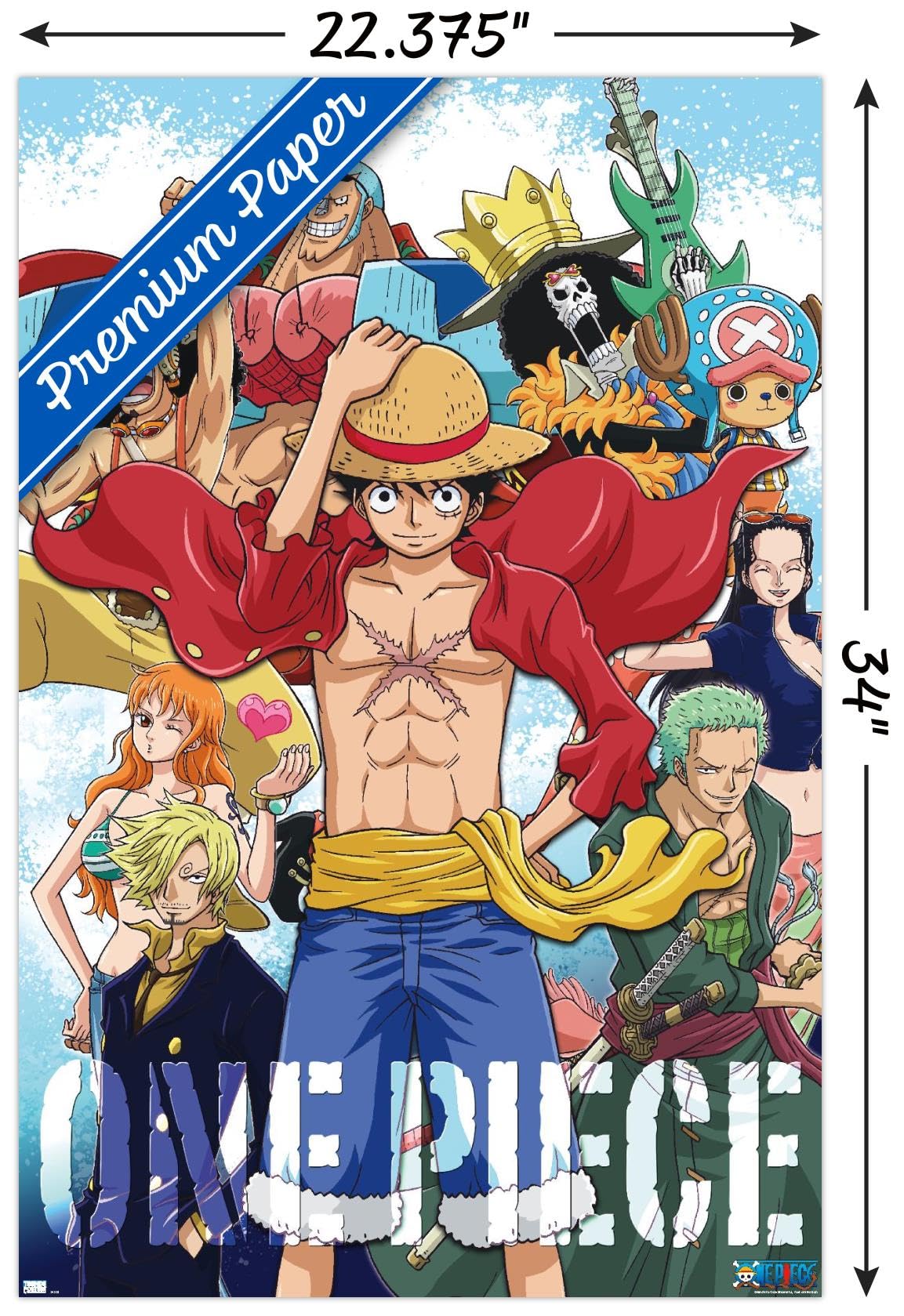 Amazon.com: One Piece - Crew Wall Poster, 34L